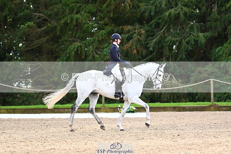 231021-155748-20978 - 262-GOOD.BOY.ALEX-Tara.Jefferies-DR