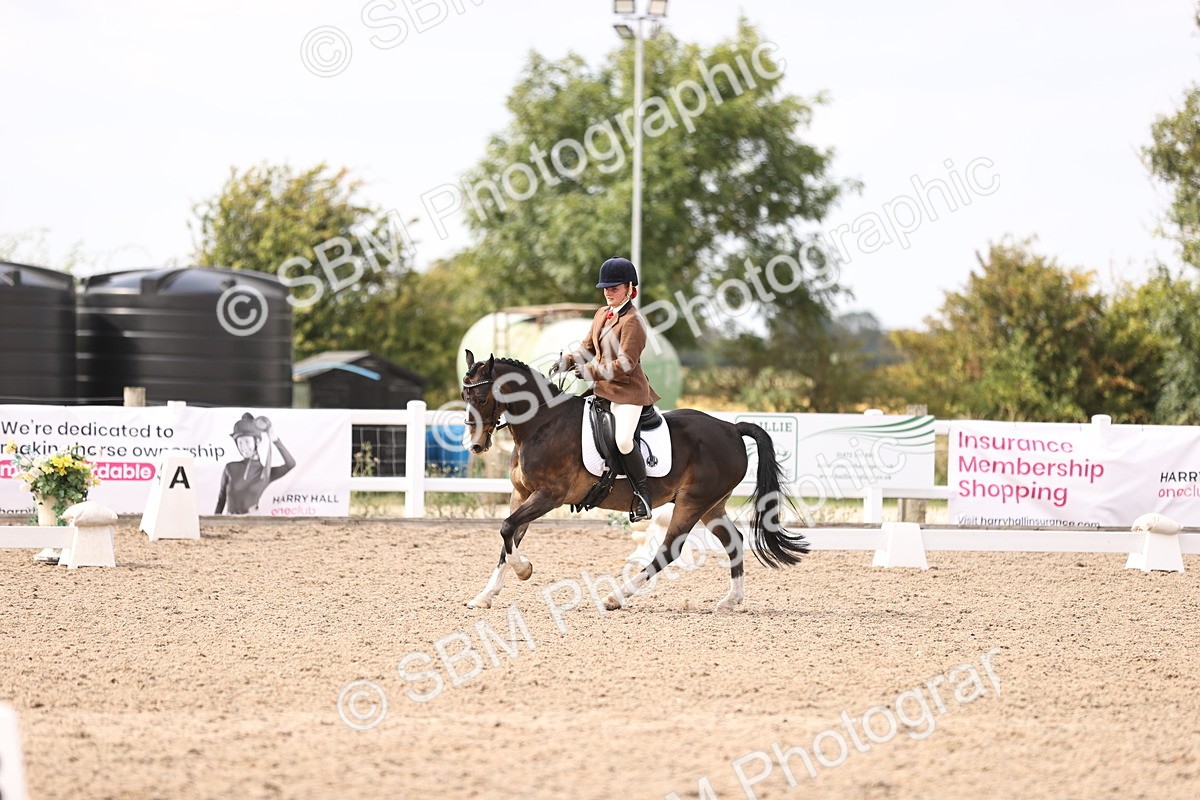 SBM_06068 - Class 37 Novice 5