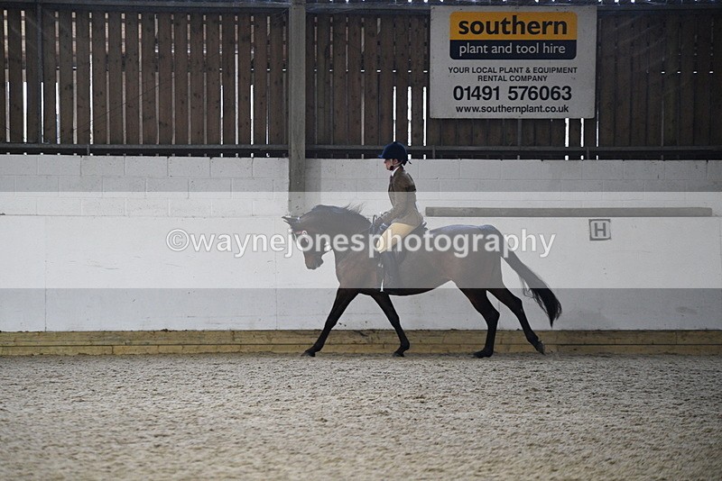 WJ5_8925 - Class 15 Ridden Show Horse