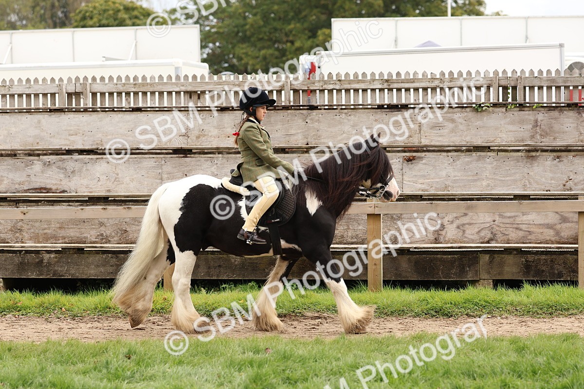 SBM_64377 - S58 - Coloured Pony Ridden