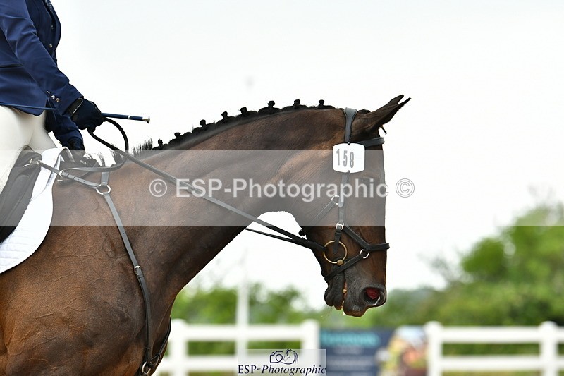 230708A-121246-02743 - Prelim 13