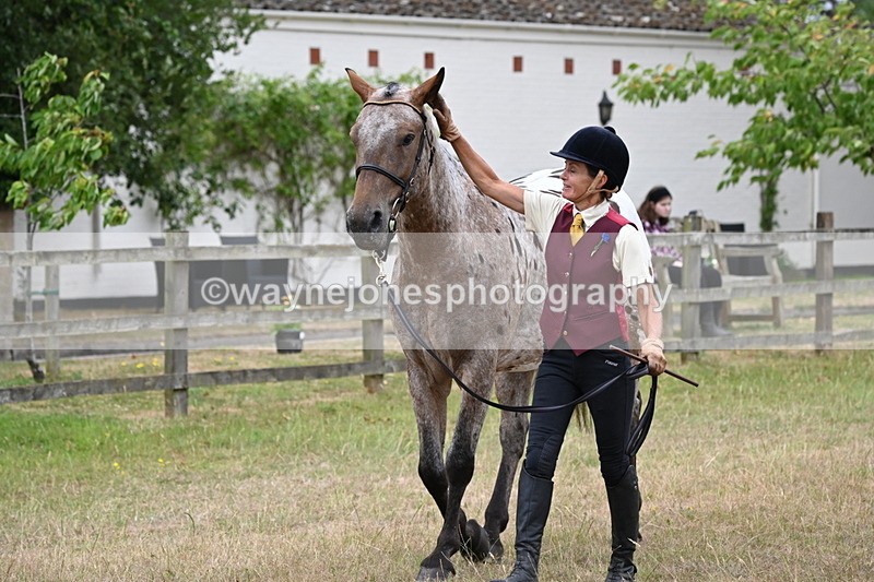 WJ6_8005 - Class 10 Coloured in Hand