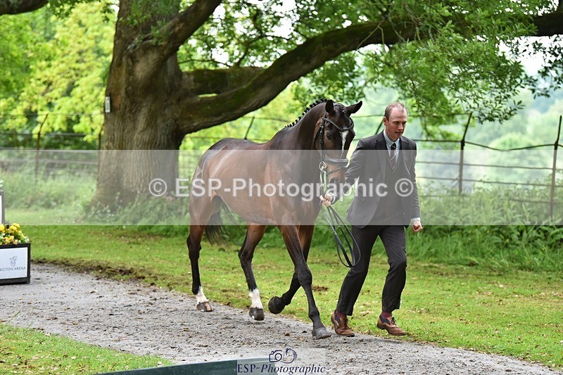 240522-170256-01346 - 234-MATTERHORN_RISING-Tom_Rowland