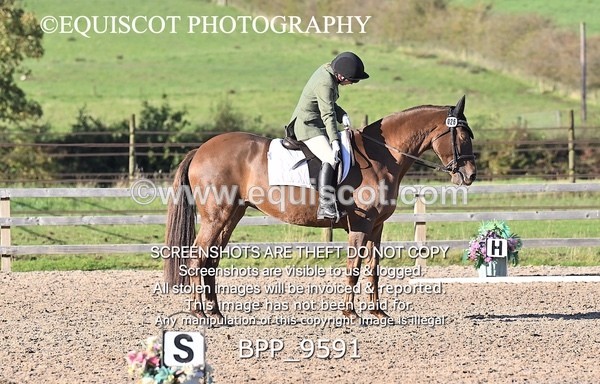 BPP_9591 - SHORT ARENA