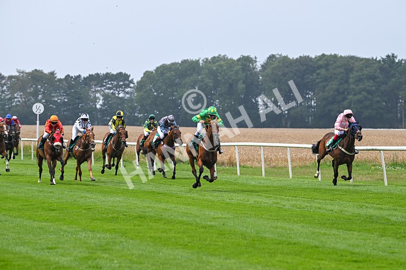 250725-Graham Lee IJF Stable Staff Stakes-E-3842 - The Graham Lee IJF Fund Stable Staff Stakes