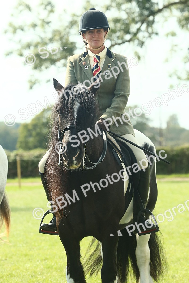 SBM_68955 - S58 - Mini Show Cob Ridden