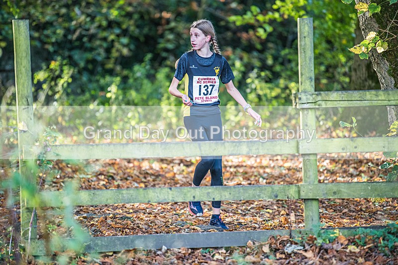 Cumbria XC-286 - Cumbria XC League Workington Saturday 26th October 2024