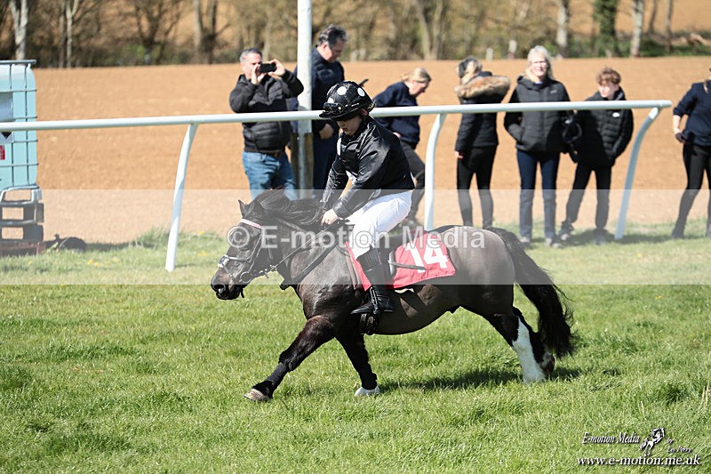 Shet 060426 330 - Shetland Pony Racing Paxford Races Easter Mon 06/04/26