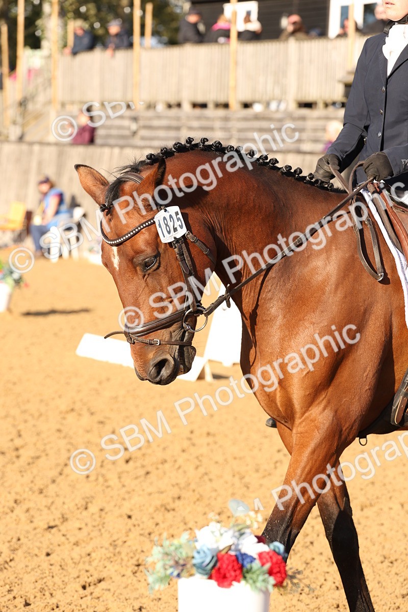 SBM_52750 - D12 - Small Tour Championship prelim 2
