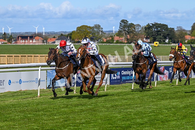 250424-Race 4-Classy Boy-1304 - Race 4