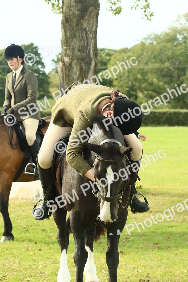 SBM_69381 - S58 - Mini Show Cob Ridden