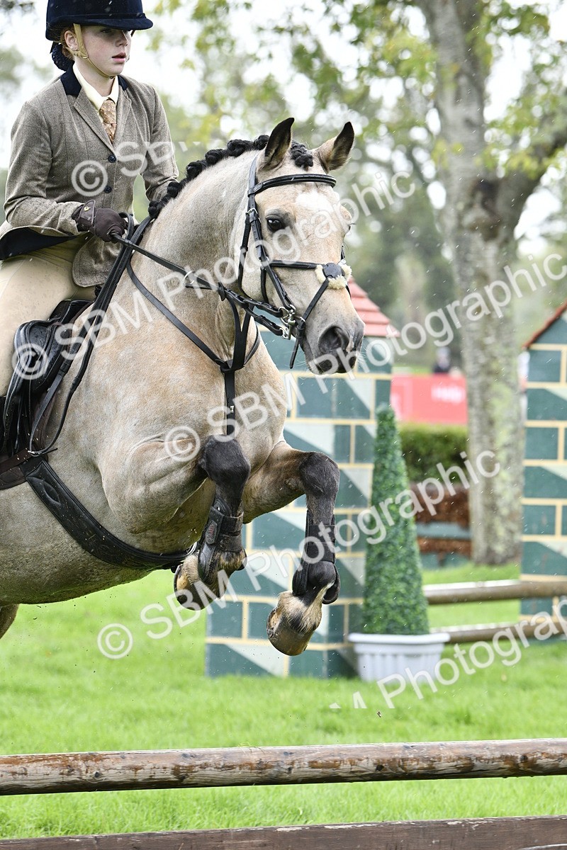 SBM_41441 - S32 - Mountain & Moorland Working Hunter Pony