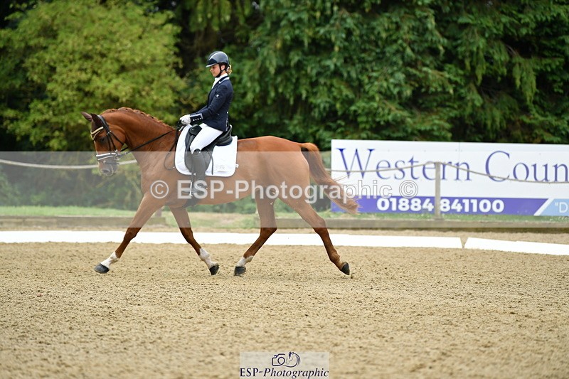 250718A-110218-00367 - 112-Amelia.Antippas-Romanno.Lady.Gaga