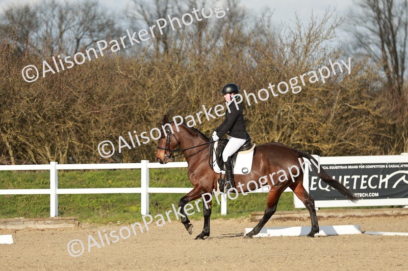 20260314-6254 - CT7 - Elementary 2