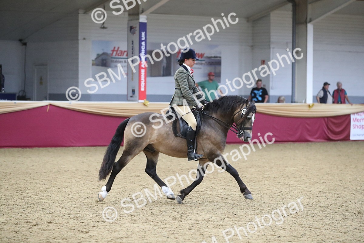 SBM_16433 - Class 502 M&M Ridden Supreme Final