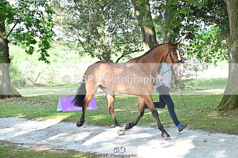 250521A-164538-01314 - C-257-Mark.Davidson-NO.LIMITS.DAMERLOO