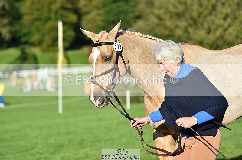 231022-100212-22200 - 612-CORRIEVIEW.MERLIN.MAGIC-Jane.Rogers-TrotUp+SJ