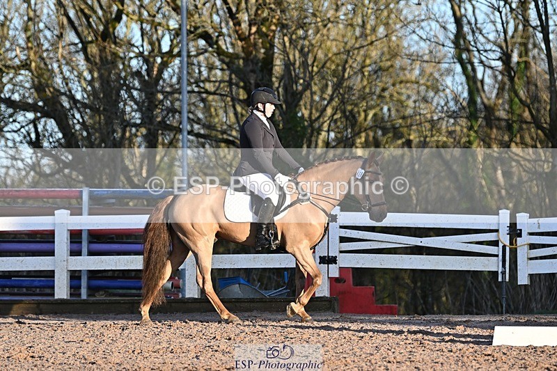 250125-085939-00002 - Dressage - CT Class 1 & 2 Intro 1