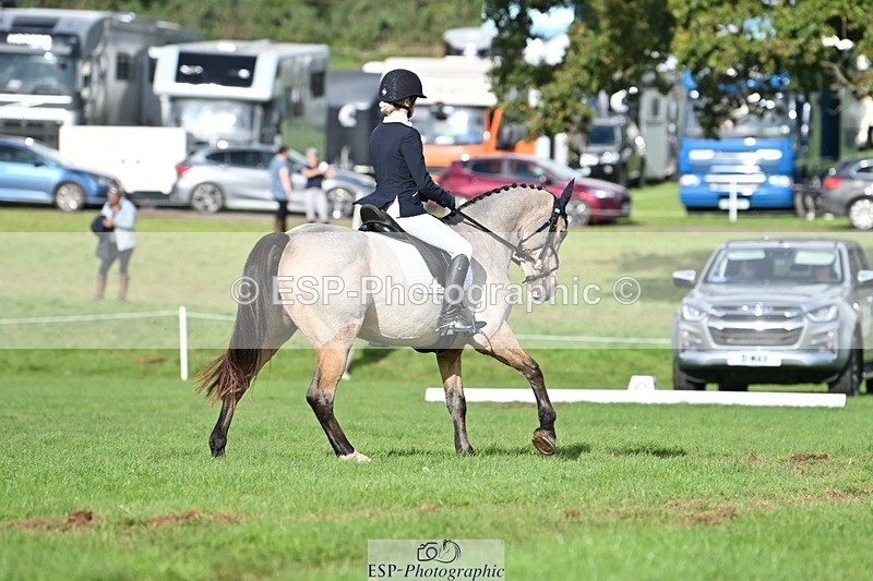 231020-141904-10877 - 664-TEMPLEMORE.WILD.ONE-Bella.Stevens-DR