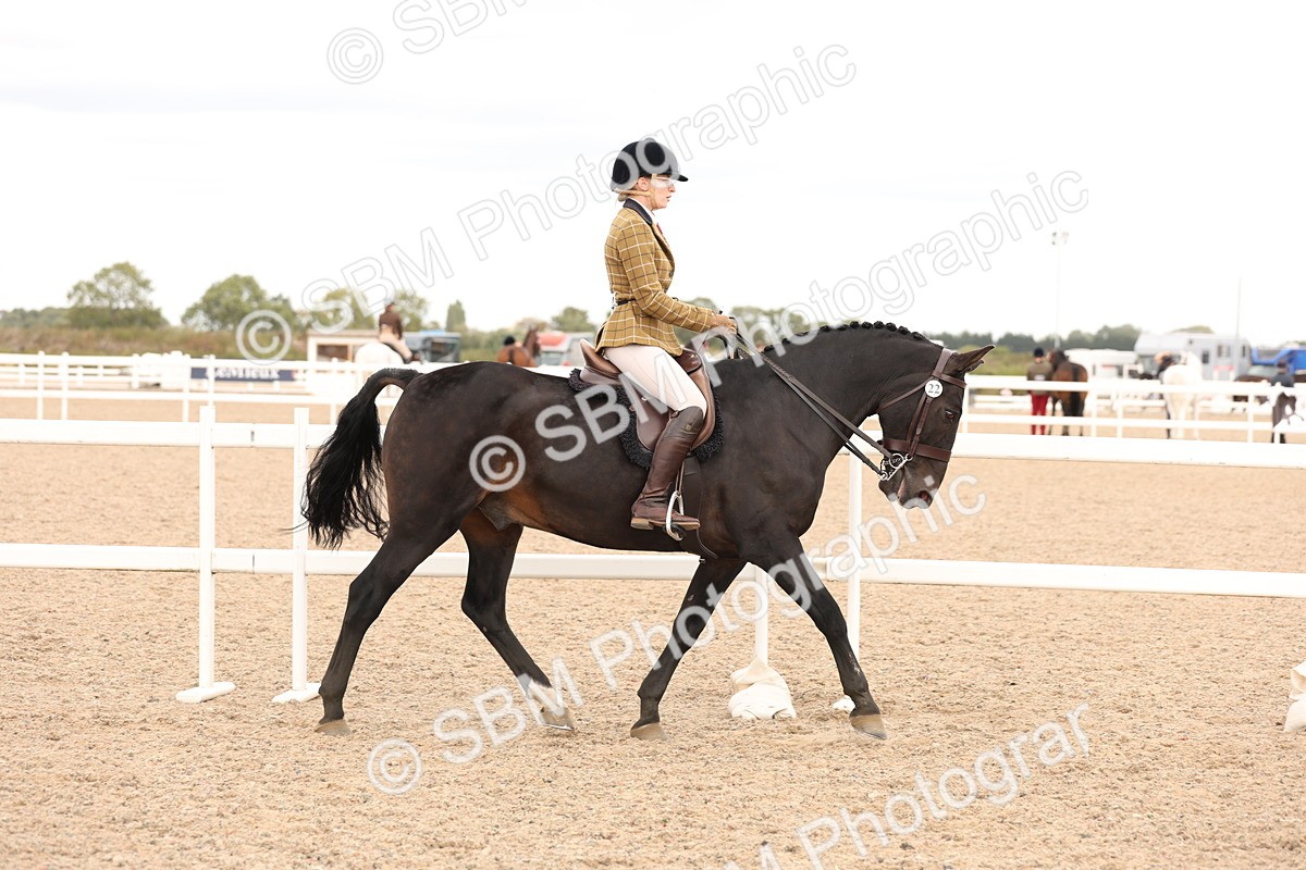 SBM_16475 - Class 212 - Ridden Hunter - Small