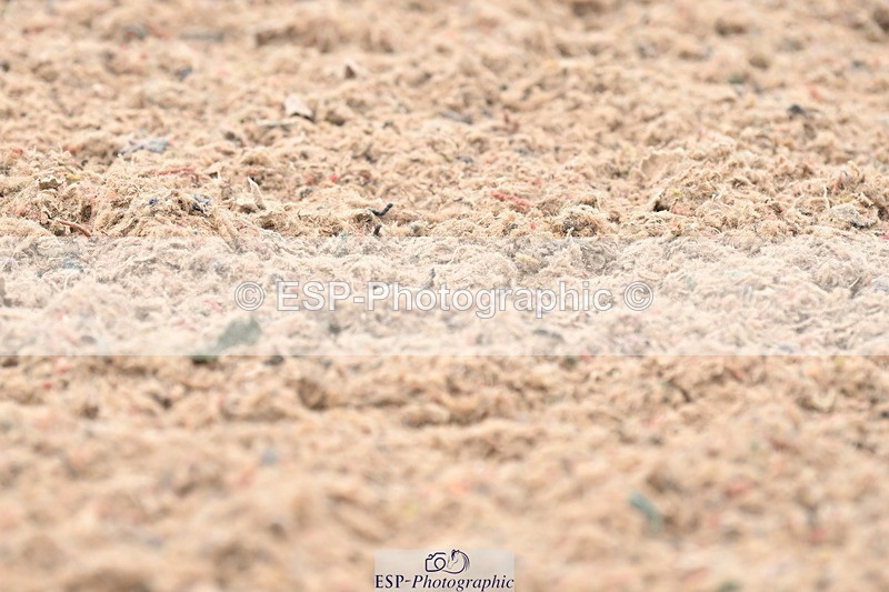 250620-093855-02493 - BD Cls 1 - Preliminary 5, 9.20am to End