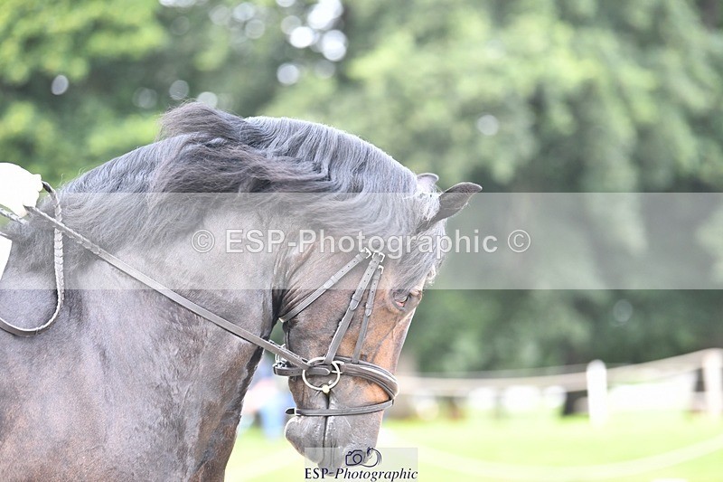 230812-105353-03495 - Cls 6 Novice Silver 10.30 to 11.55 break