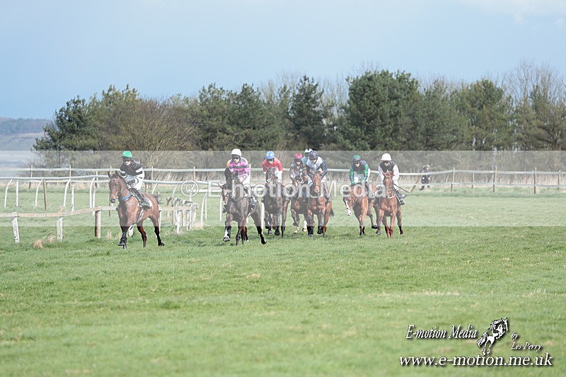 PtP 230324 499 - Tedworth Hunt PtP Larkhill Raccourse 23rd March 2024