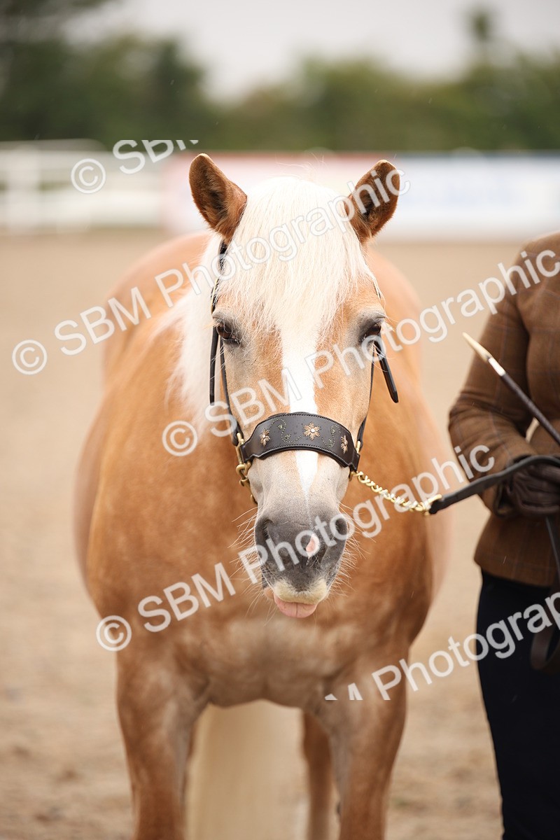 SBM_19315 - Class 701 - Best Turned Out IH & Ridden