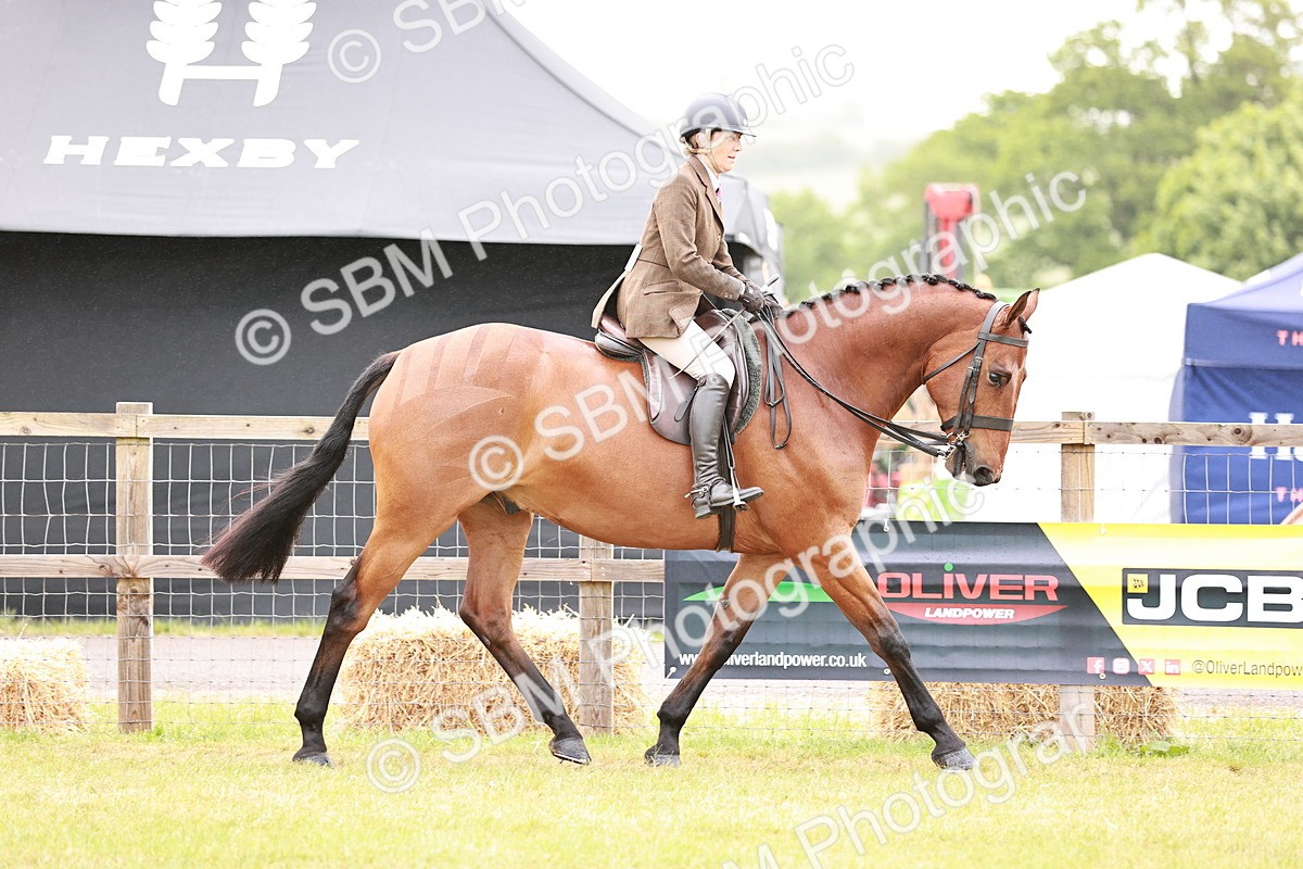 SBM_10750 - Class 81-84 - RIHS Ridden hunters Inc Ladies Hunter