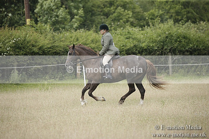 B230619-0499 - Bourne Valley Riding Club Summer Show 23/06/19
