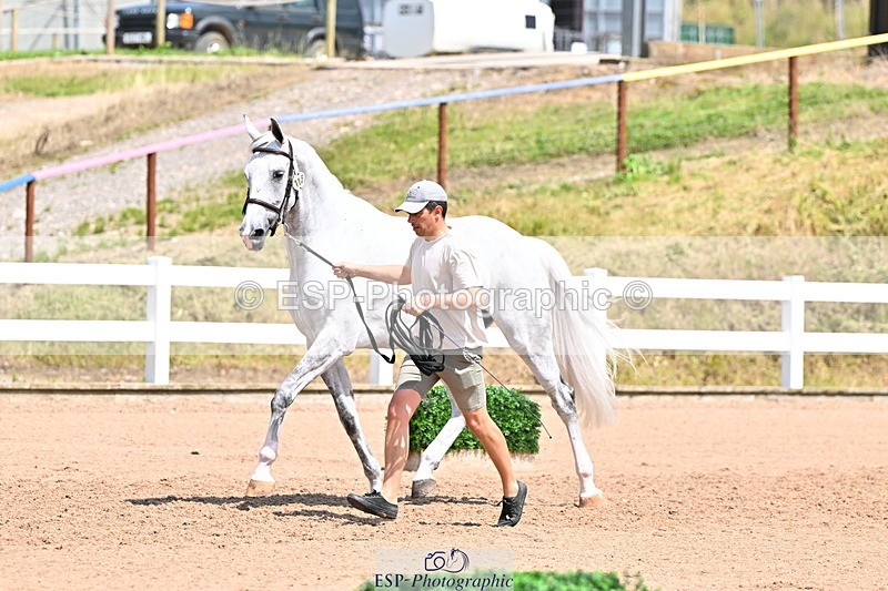 240718A-105317-01792 - Trot Up 1pm to 2pm