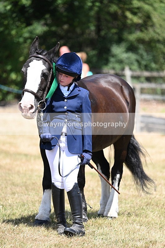 WJ7_2266 - Class 5 Most Handsome Gelding (up to 14.2hh) in hand