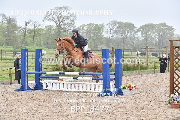 BPP_8477 - CLASS 22 SUN Club/ Unaffiliated 80cms Open