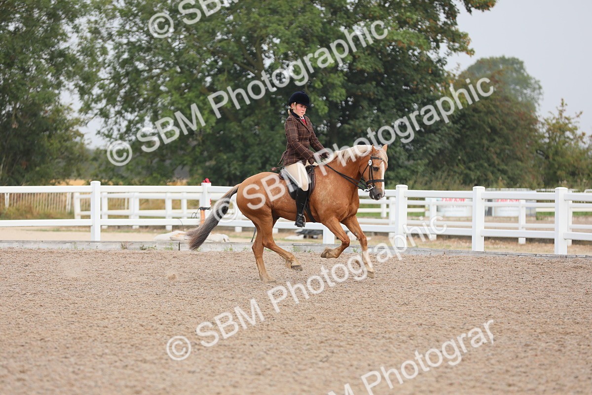 SBM_10008 - Class 302 Ridden M&M -Large Breeds