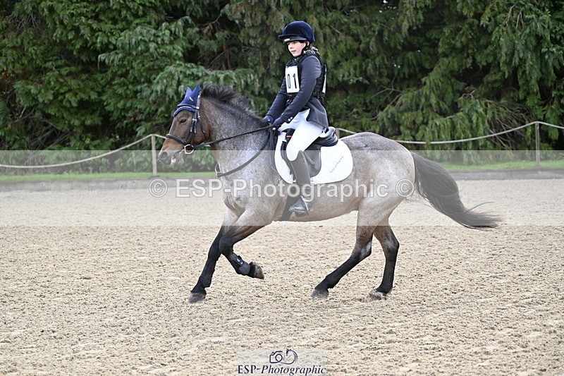 251005A-085545-02890 - Cls 02 GR 50cm