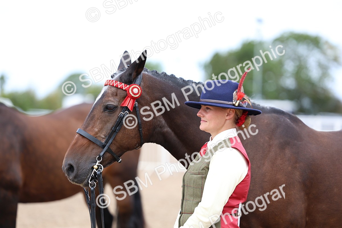 SBM_01499 - Class 17 - Prettiest Mare