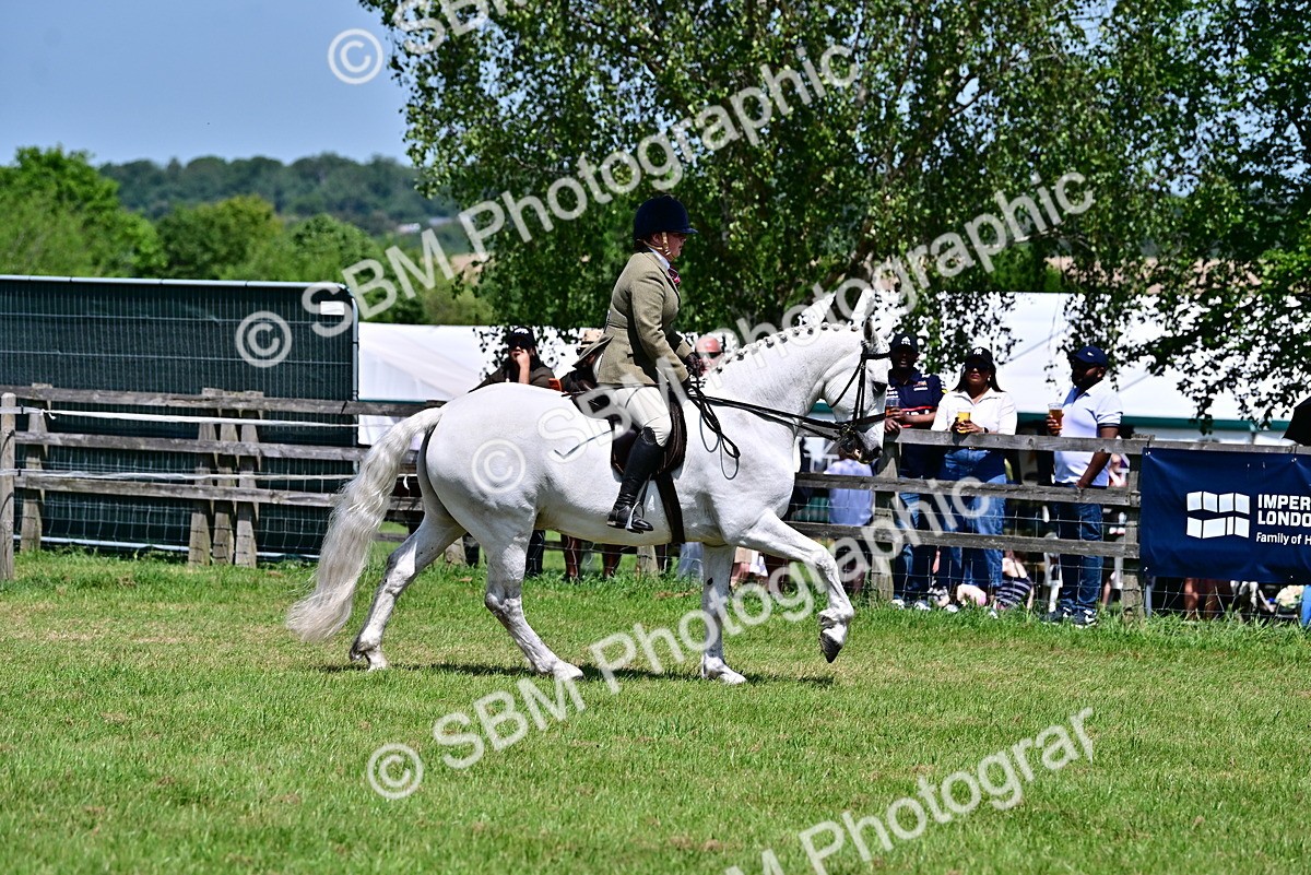 SBM_17401 - Class 95-97 - BSPS LHS Performance Ponies