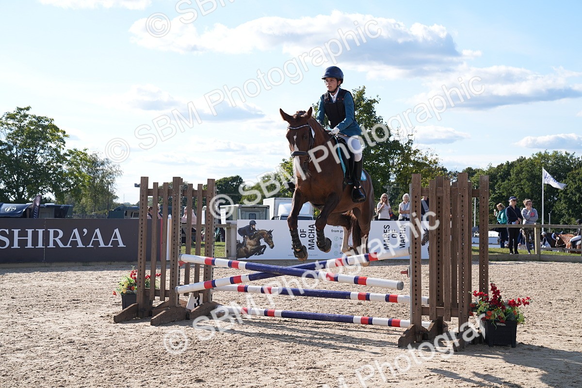 SBM_26102 - J61 - Clear Round 75cm & 85cm