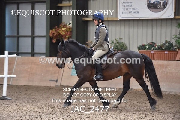 JAC_2477 - CLASS 3 Intermediate Working Hunter
