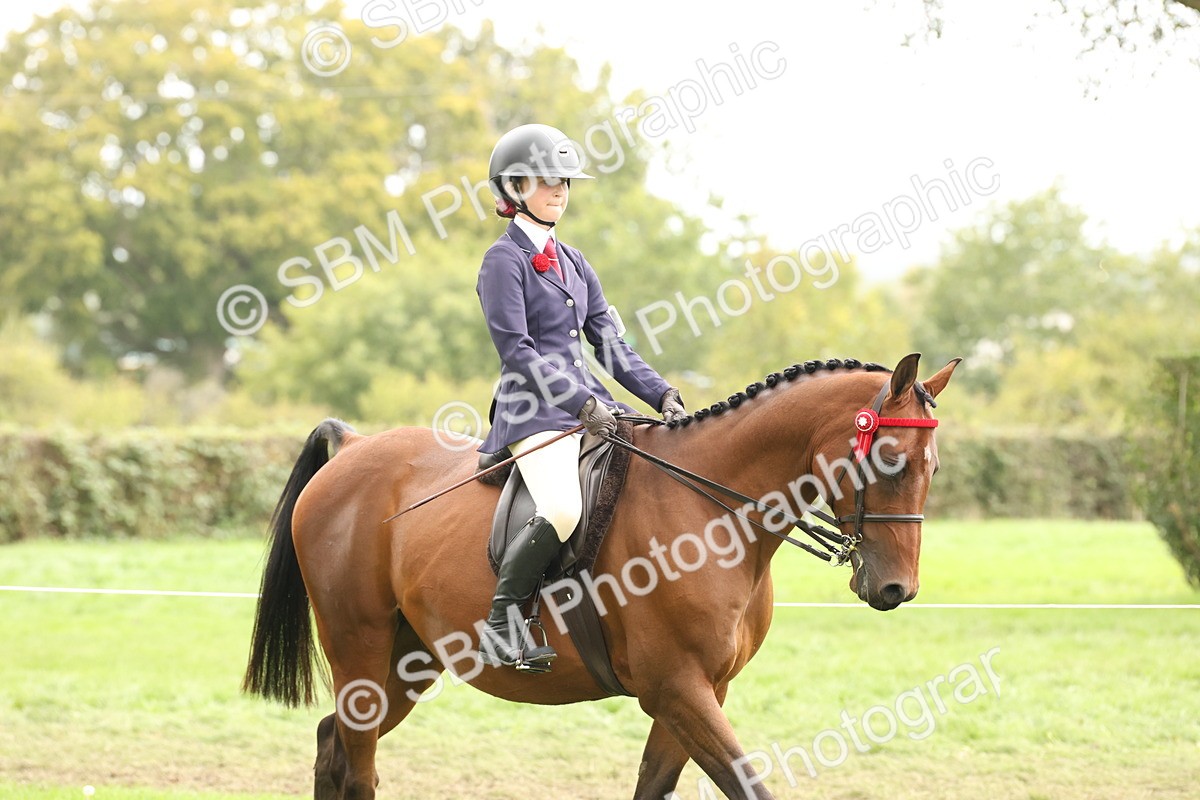 SBM_64141 - S65 - Riding Horse & Hack & Thoroughbred Ridden
