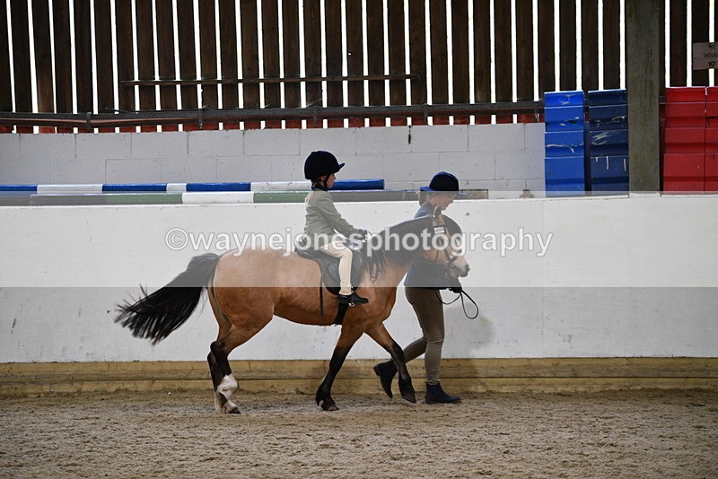 WJ5_6686 - Class 10 Childs Pony