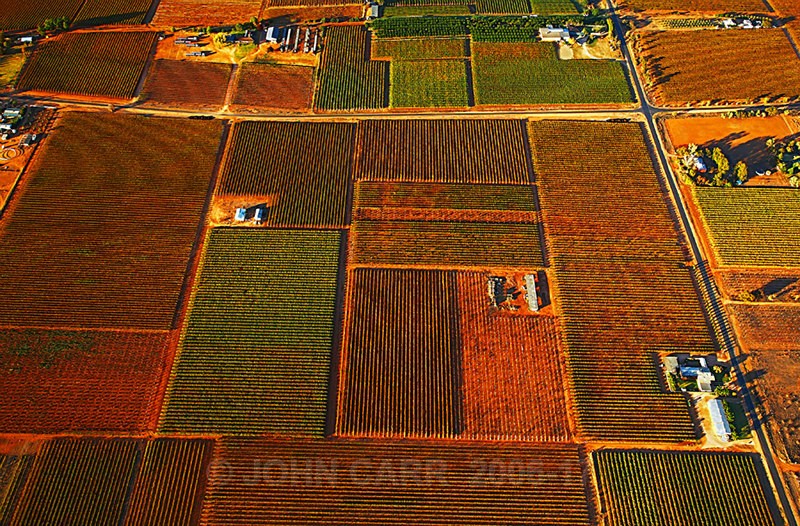 Autumn Vines-3867 - AERIAL PHOTOS