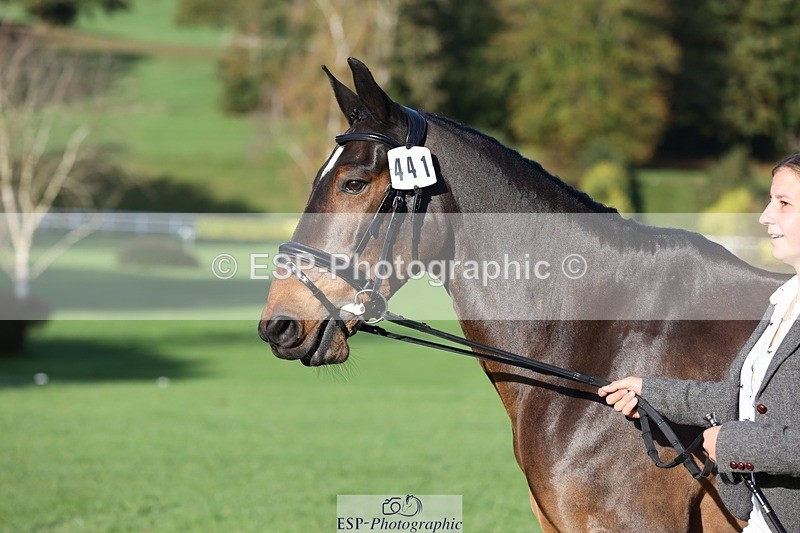 241027-093855-15417 - 441-Molly.Swain-SOCKS