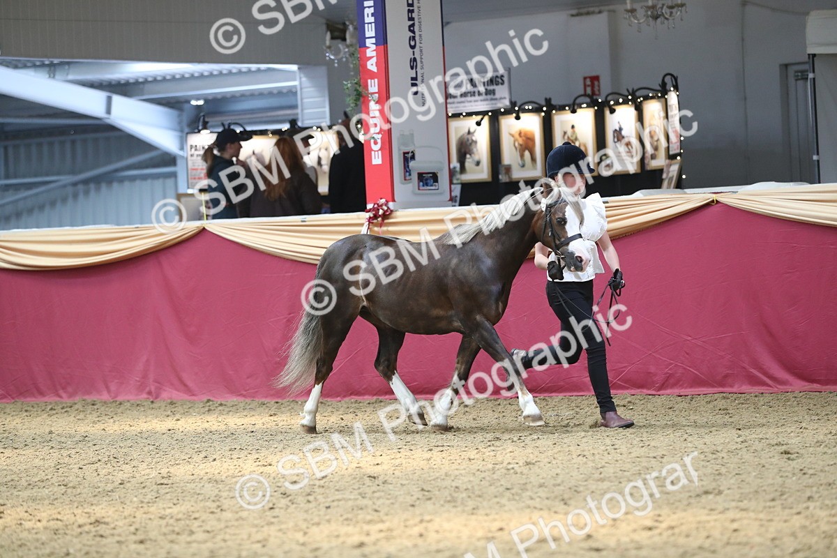 SBM_15139 - Class 501 M&M IH Supreme Final