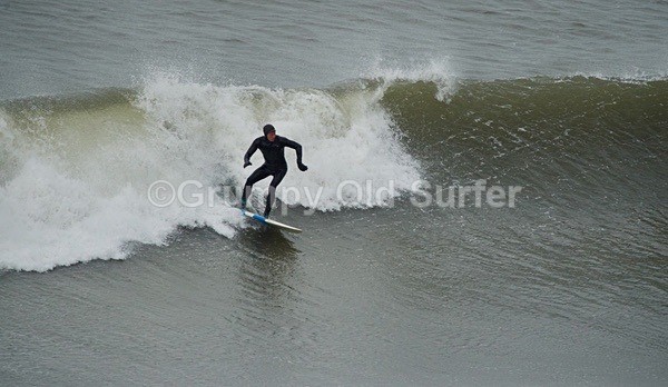 DSC_1761 - Cayton Bay - 11th April 2017