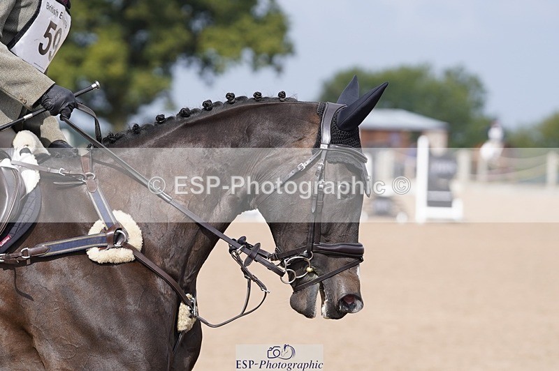 240831A-111240-01108 - 059-Vikki.Maddox-GOGETTHAT