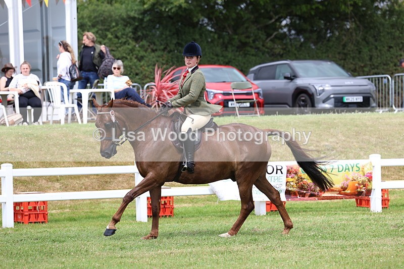 3E7A0944 - Class 8: Open Riding Horse/Hack