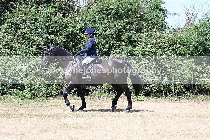 WJ7_2747 - Class 7 Riding Club Show Horse