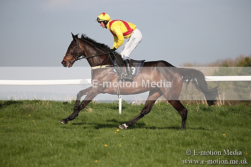 PtP 210418 559 - South & West Wilts Point-to-Point Larkhill 21/04/18