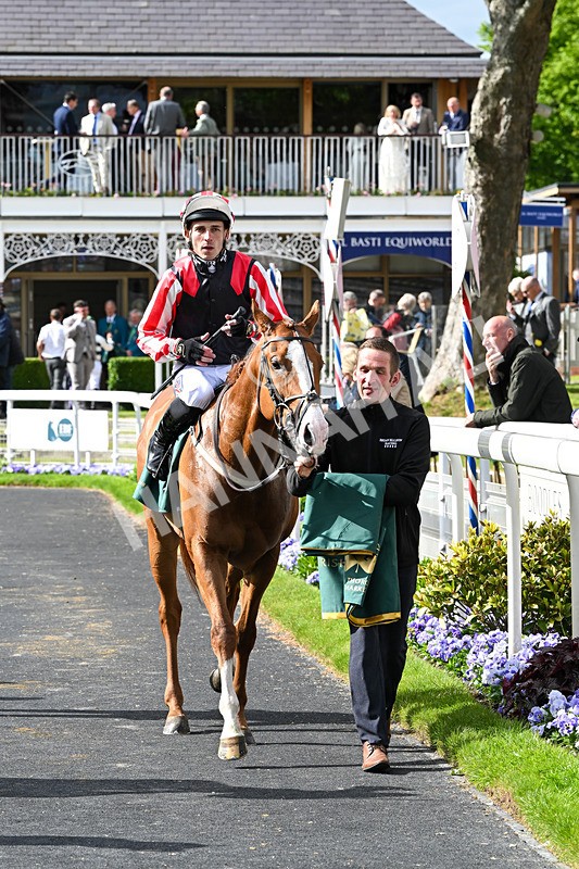 150526-Race 6-Fortification-8500 - Race 6 4.40pm Irish Thoroughbred Marketing Handicap